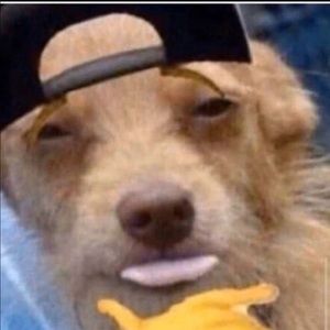 Meet your Posher, Ivan